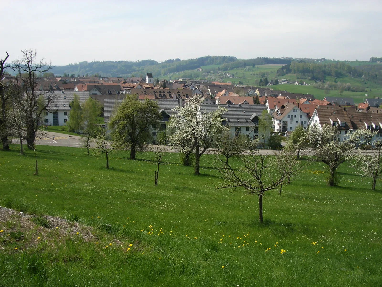 8906 Bonstetten