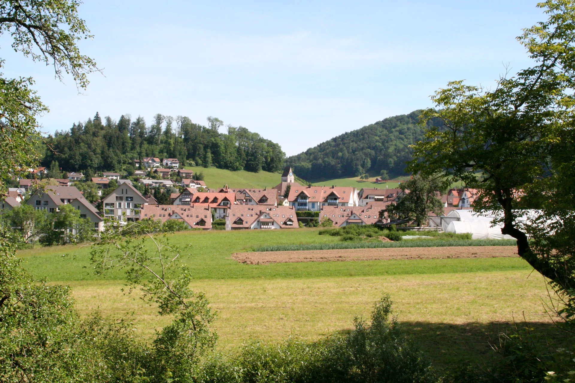 8498 Gibswil