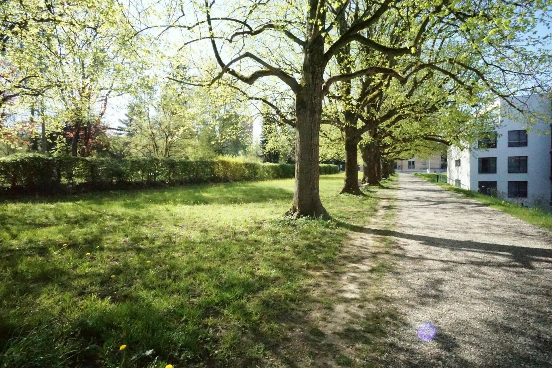 HABITAT EXCLUSIF DANS LA ZONE DE DETENTE DE RHEINFELD