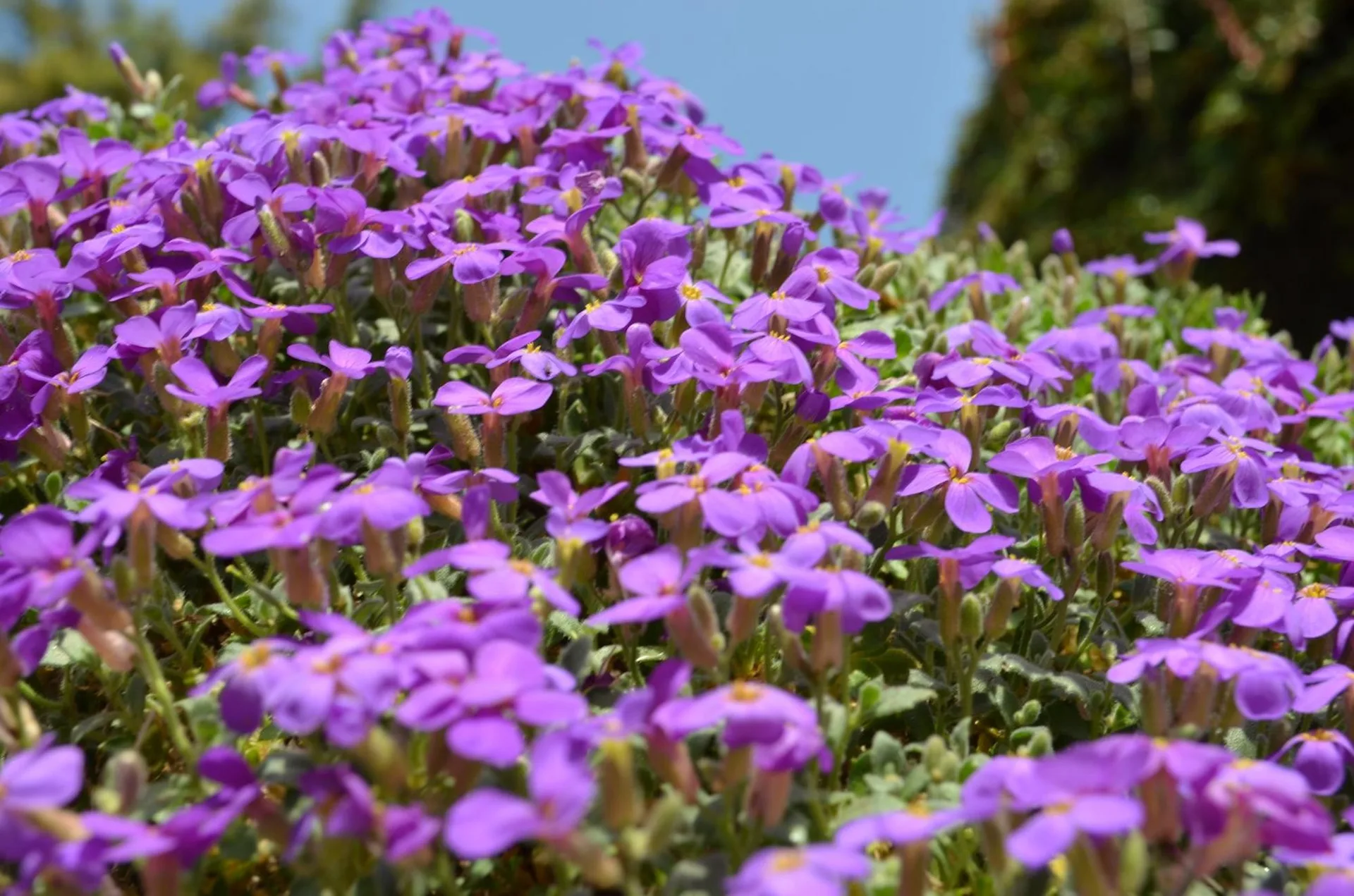 Grandiose Garten-Wohnung in Dänikon…