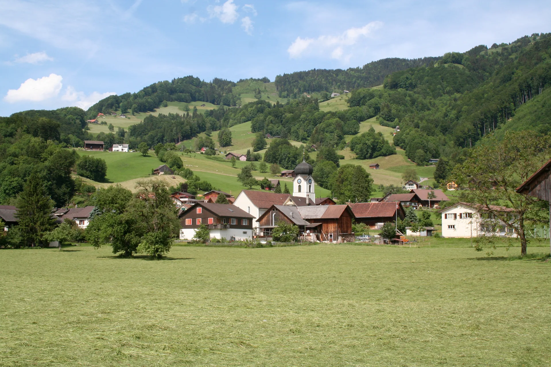 8718 Schänis