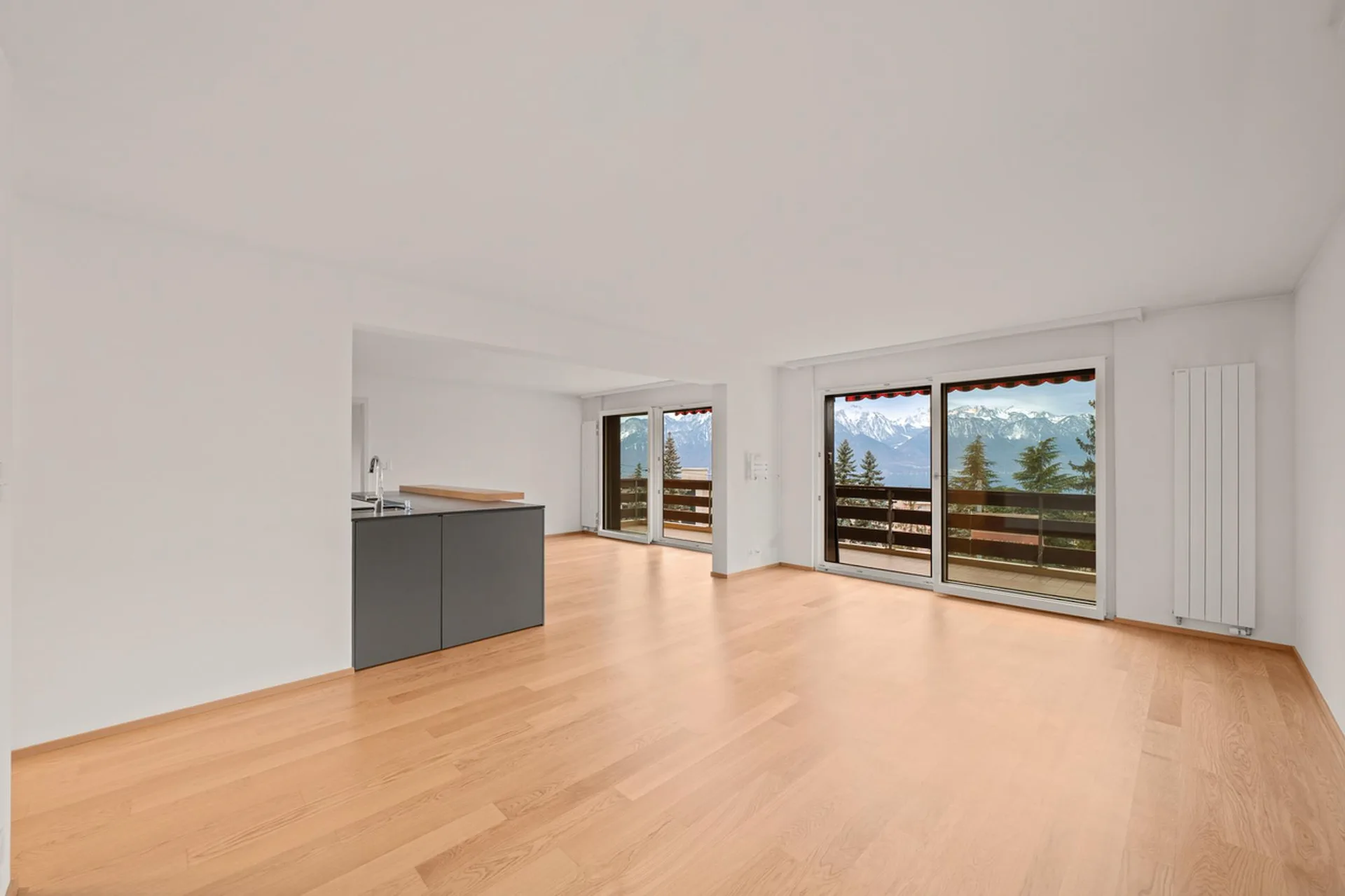 Opportunité unique spacieux appartement dans un cadre paisible vue lac