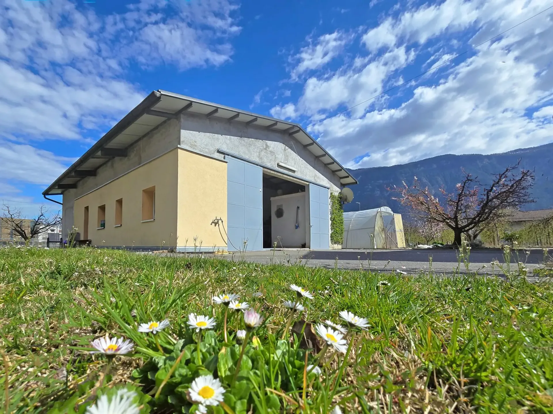 Doppelgarage und großes ausbaufähiges Gewächshaus