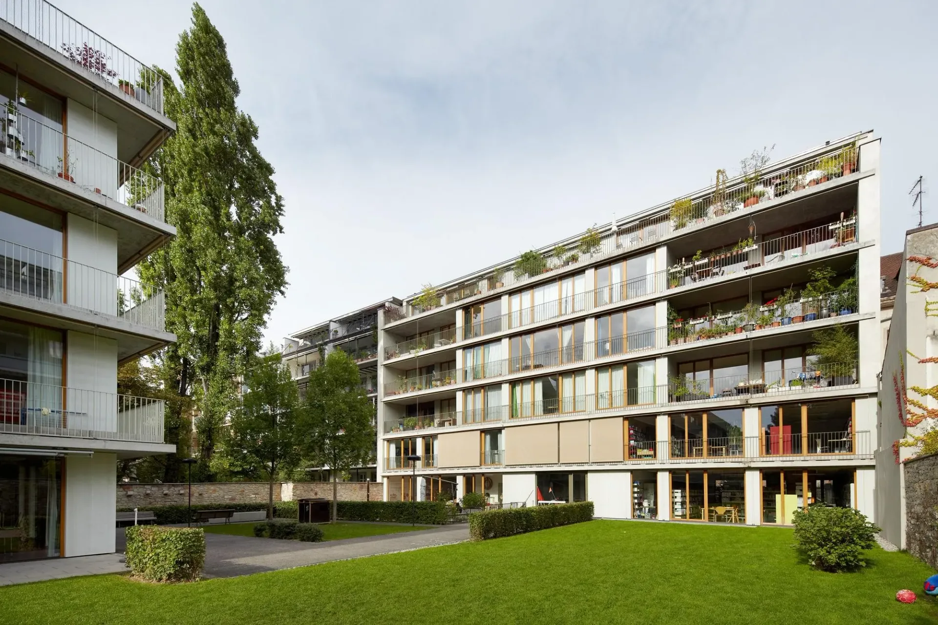 2.5 Zimmerwohnung in Basel