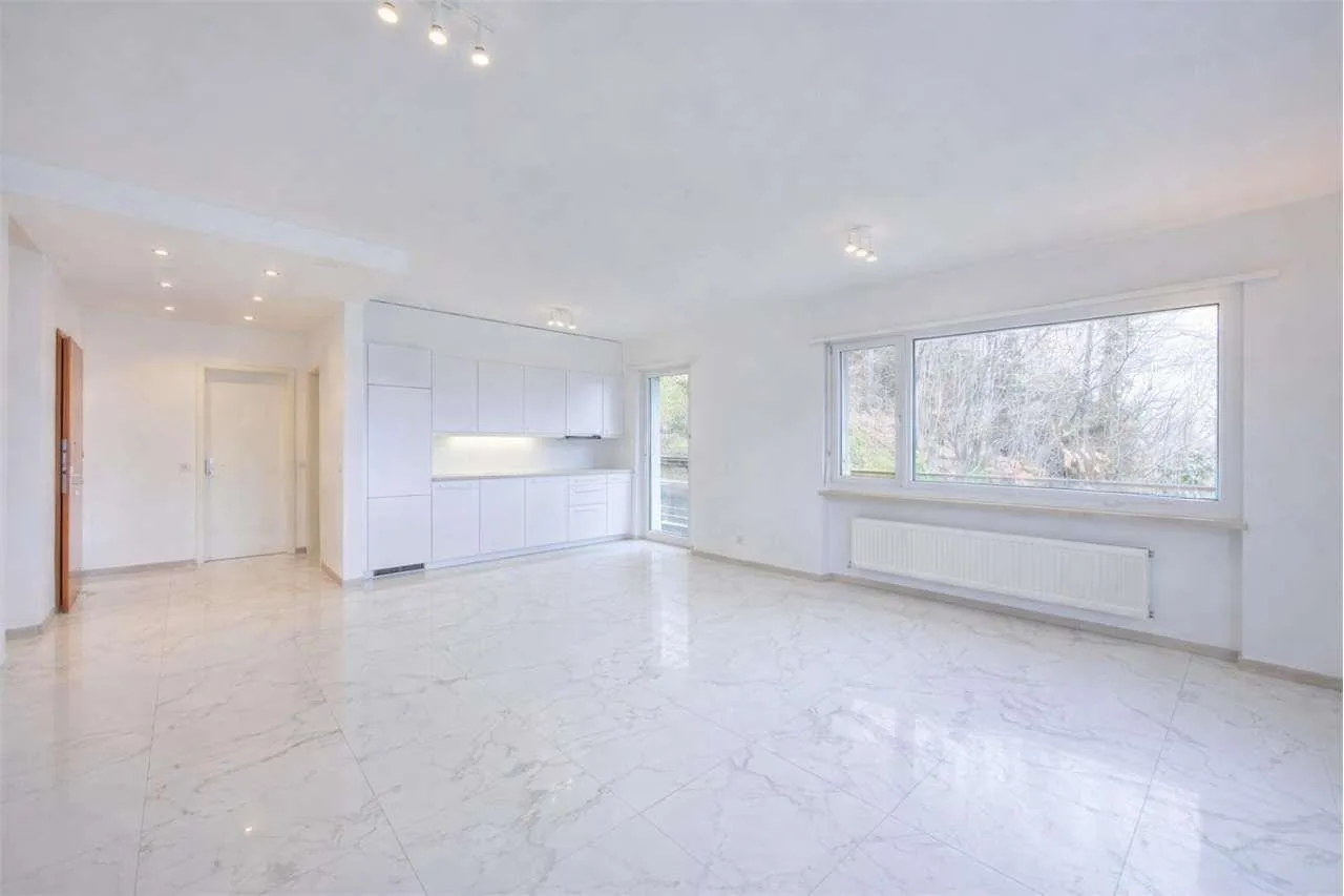 Splendido appartamento con terrazzo e vista lago ad Aldesago, Lugano