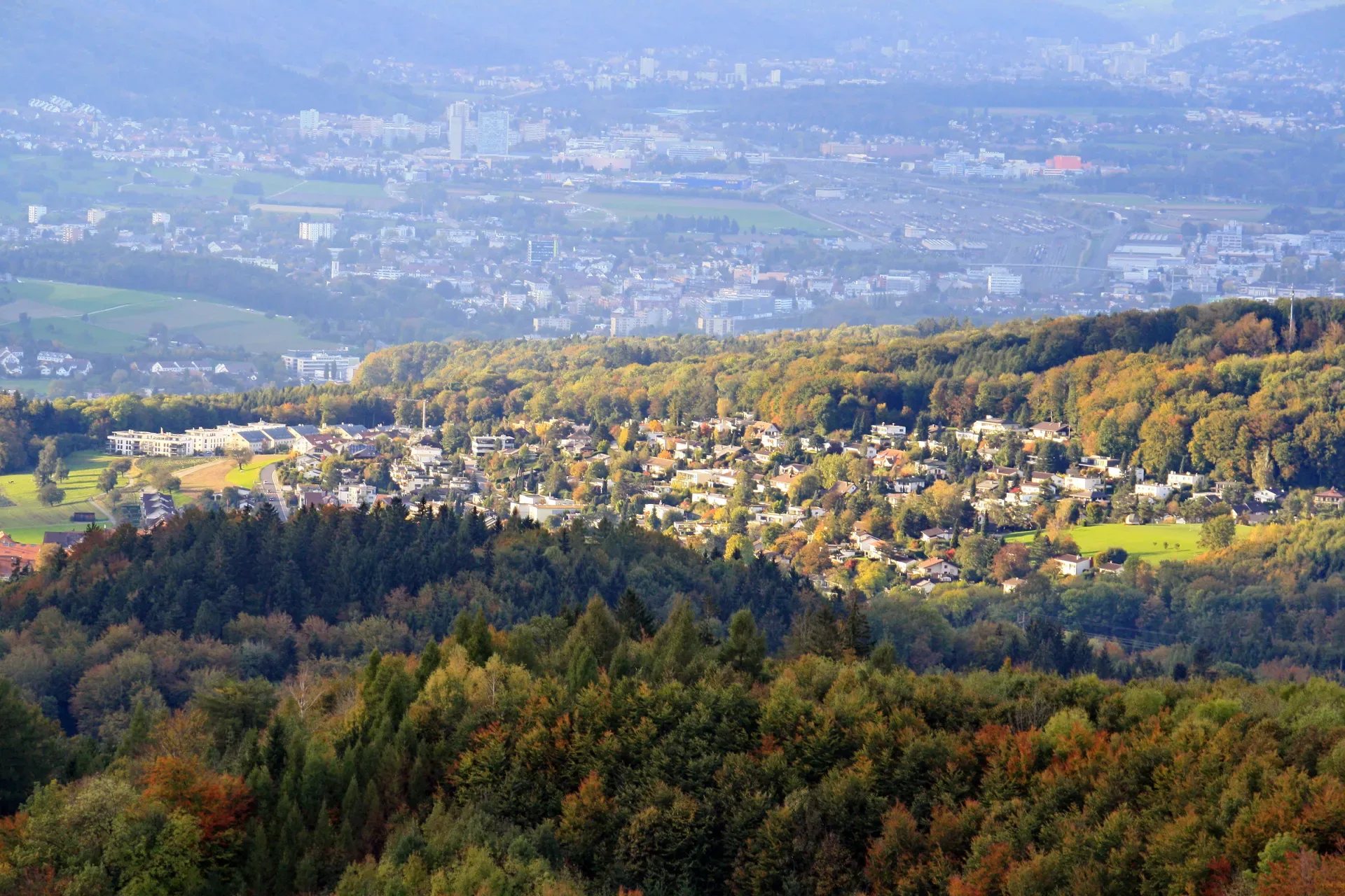 Uitikon